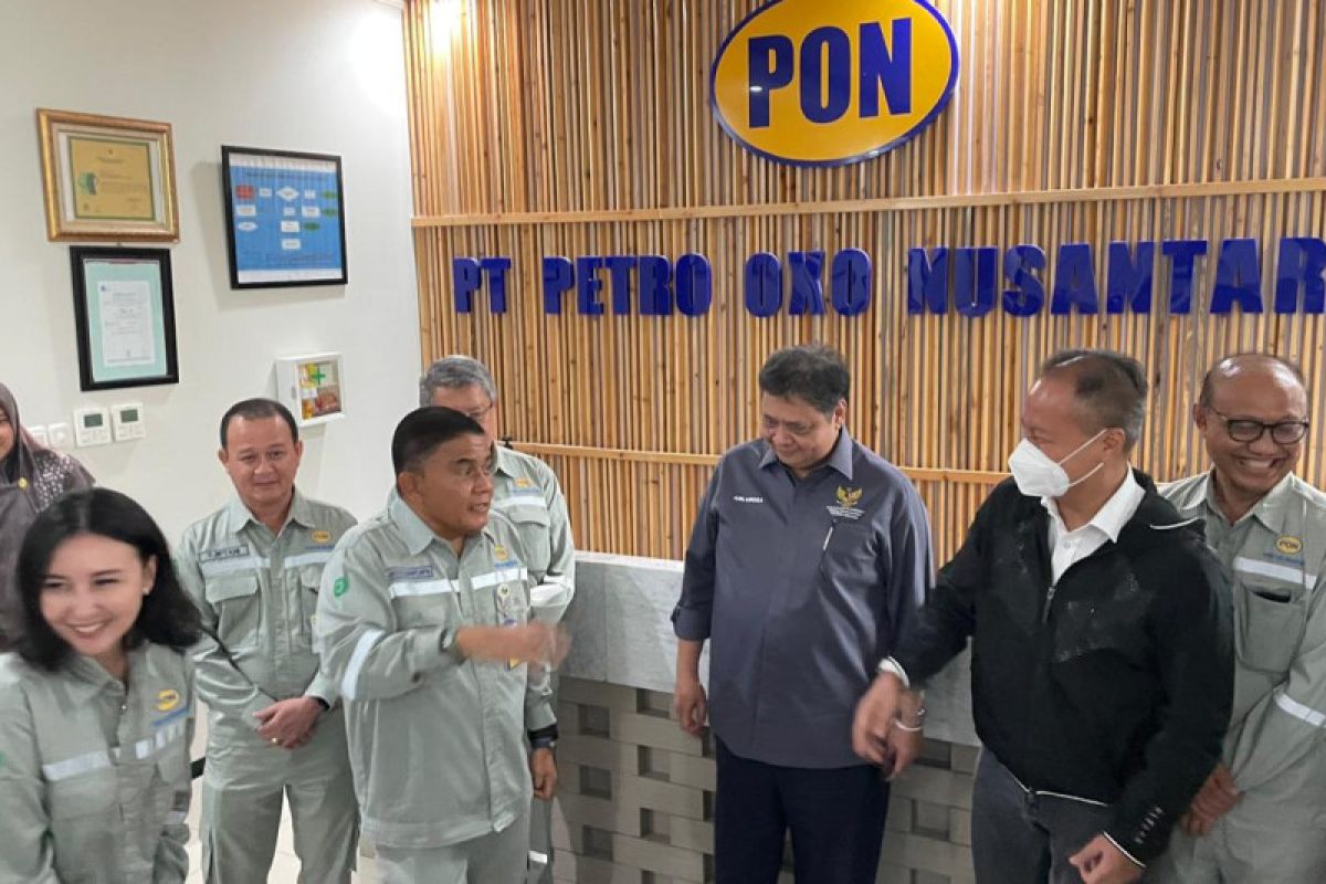 Menko Airlangga dukung hilirisasi PT PON di Gresik