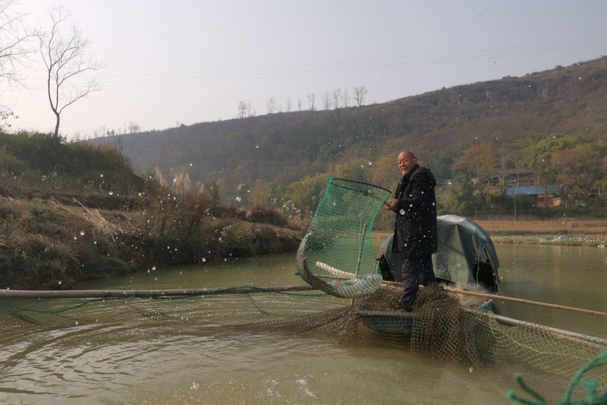 Dilarang tangkap ikan di Sungai Yangtze, nelayan cari peluang di darat