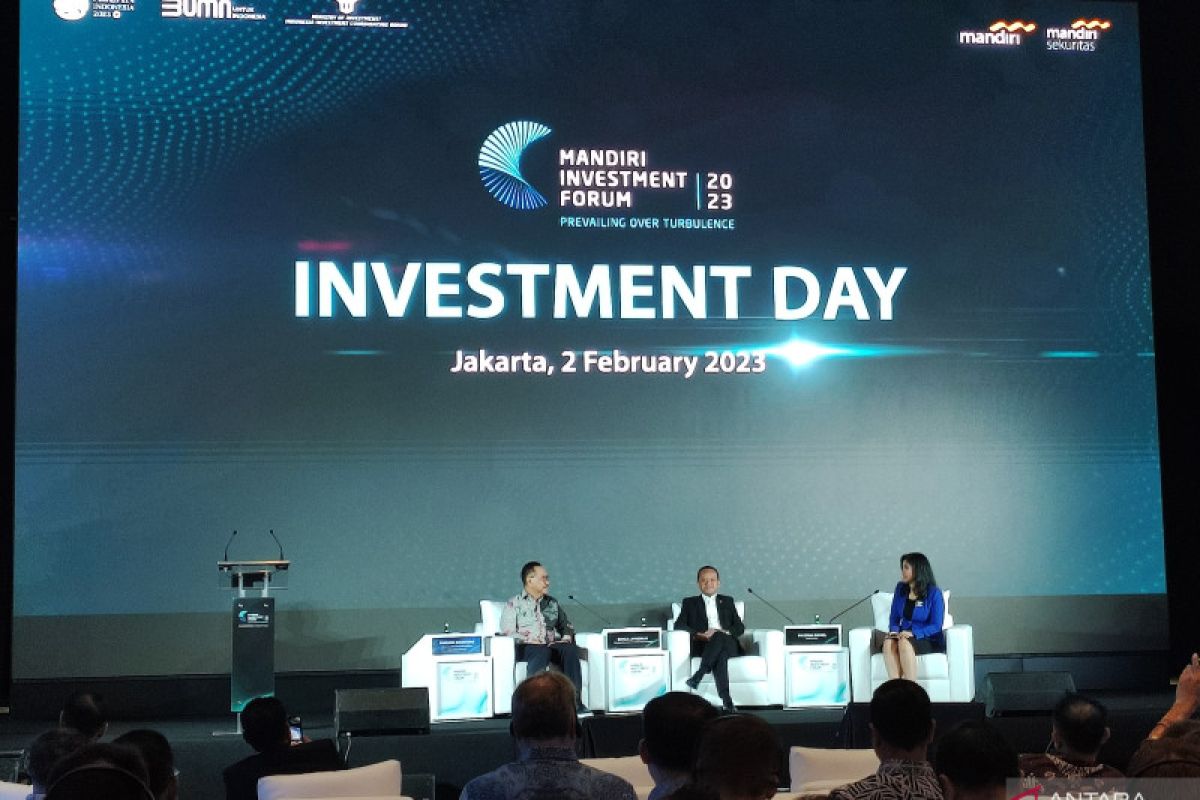 Bigger, better incentives for investment in Nusantara: minister