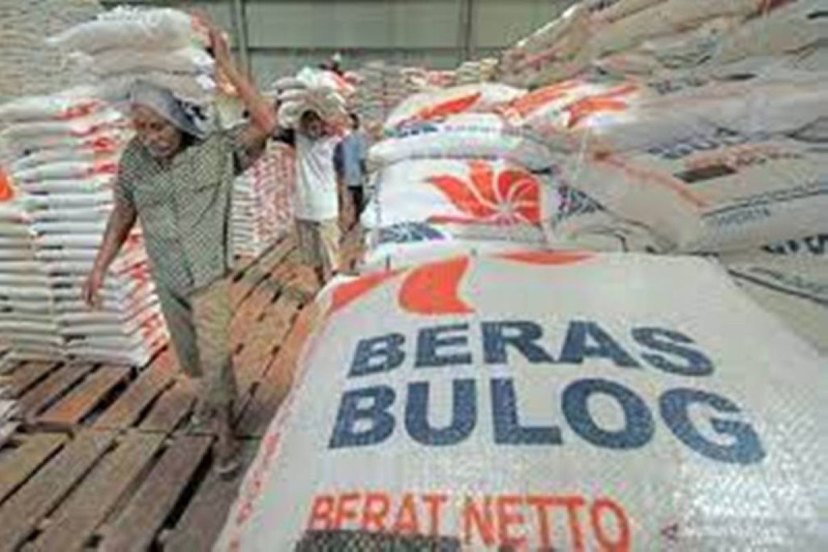 Pemprov Riau jamin stok beras aman untuk empat bulan ke depan