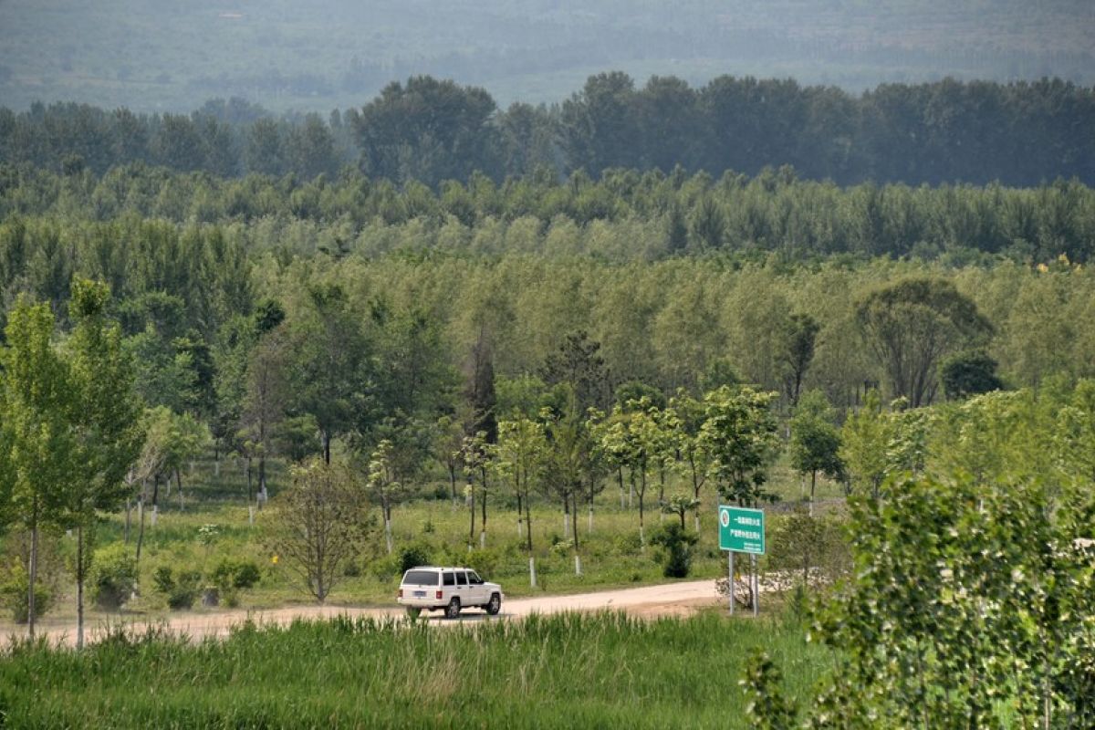 Beijing catat peningkatan area hijau