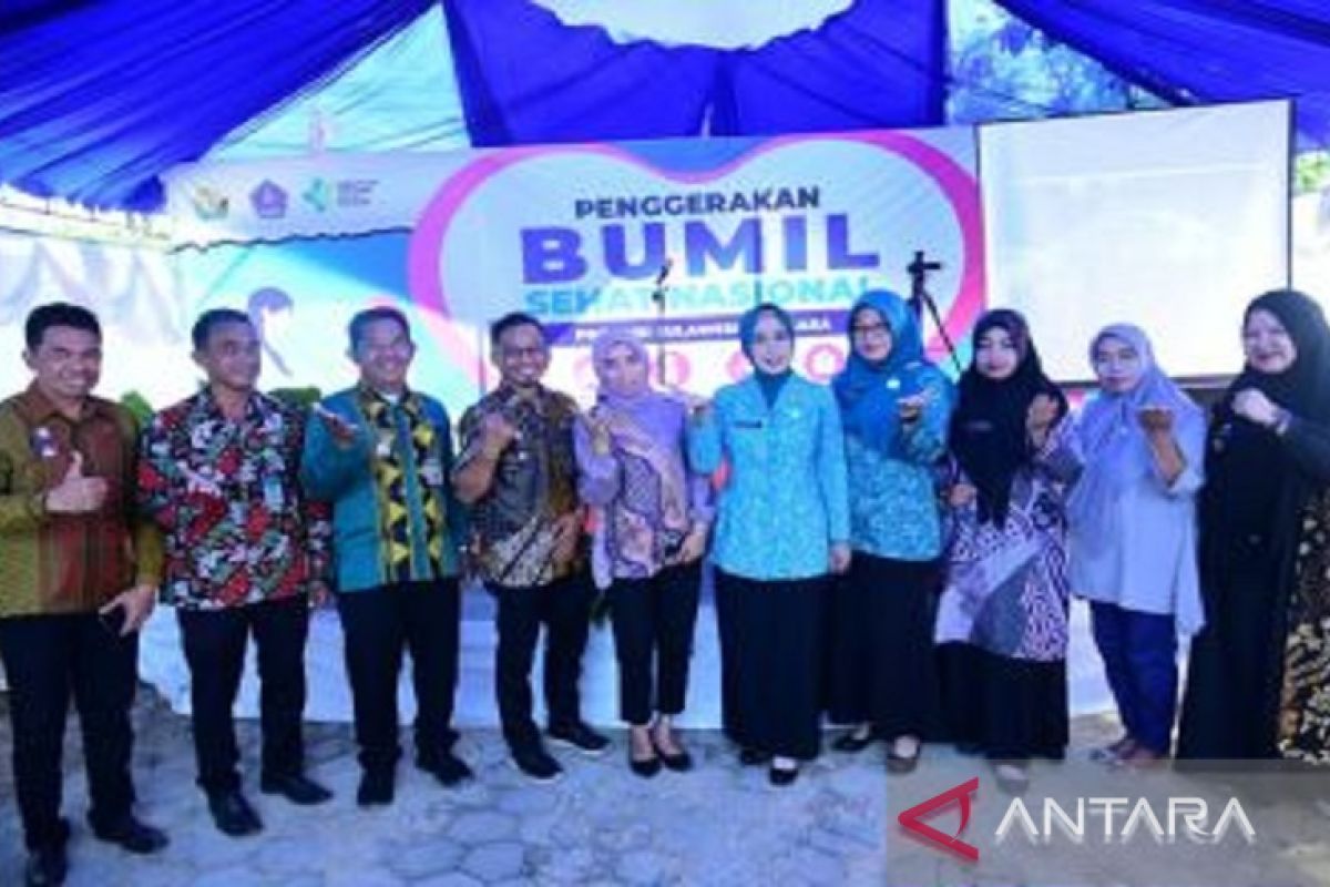 Pemkot Baubau target turunkan angka kematian ibu dan bayi 2023