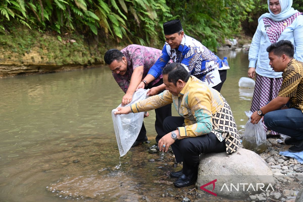 Jaga ekosistem Wali Kota Padang Sidempuan tebar benih ikan di sungai
