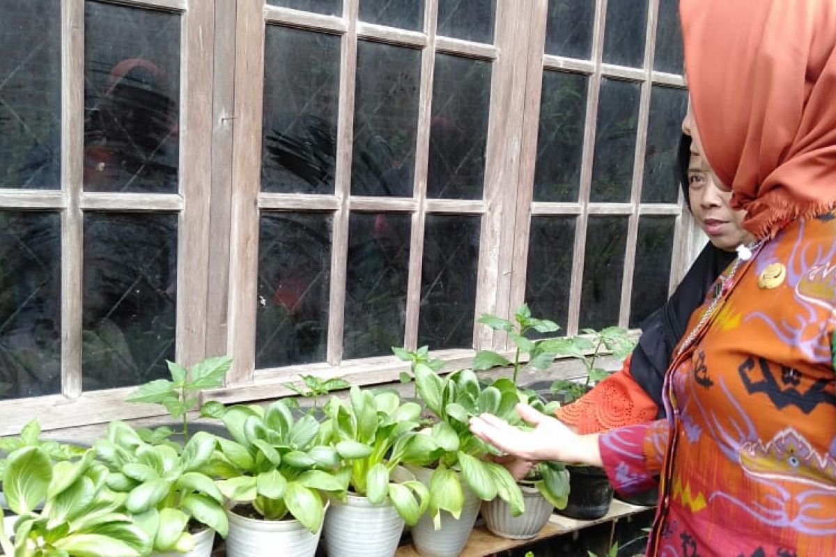 Pemkot Bandarlampung ajak warga lakukan pertanian perkotaan jaga ketahanan pangan