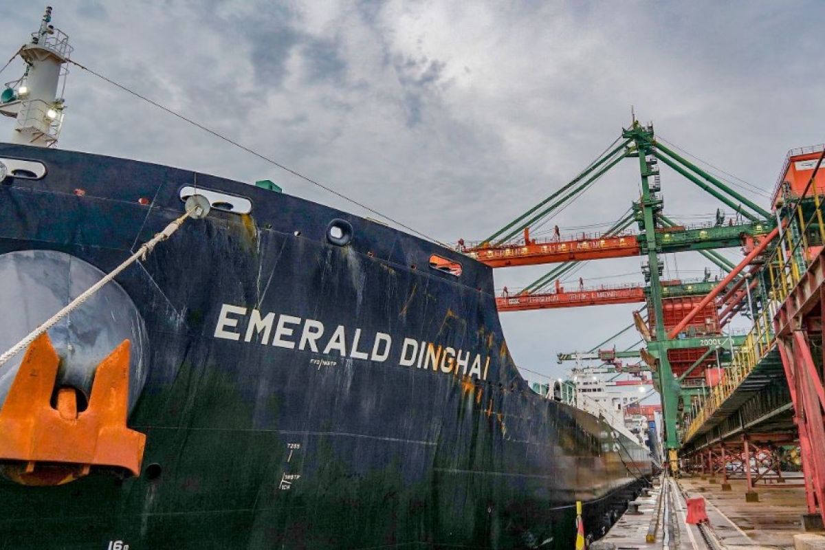 Kapal curah kering terbesar sandar di Terminal Teluk Lamong