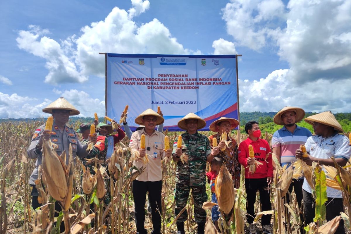 BI Papua serahkan bantuan lima kelompok tani di Kabupaten Keerom