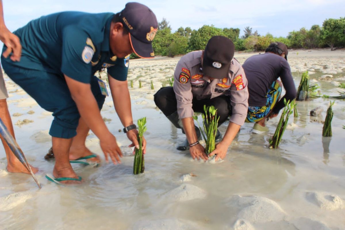 Pecinta lingkungan bentengi Kepulauan Seribu dengan mangrove