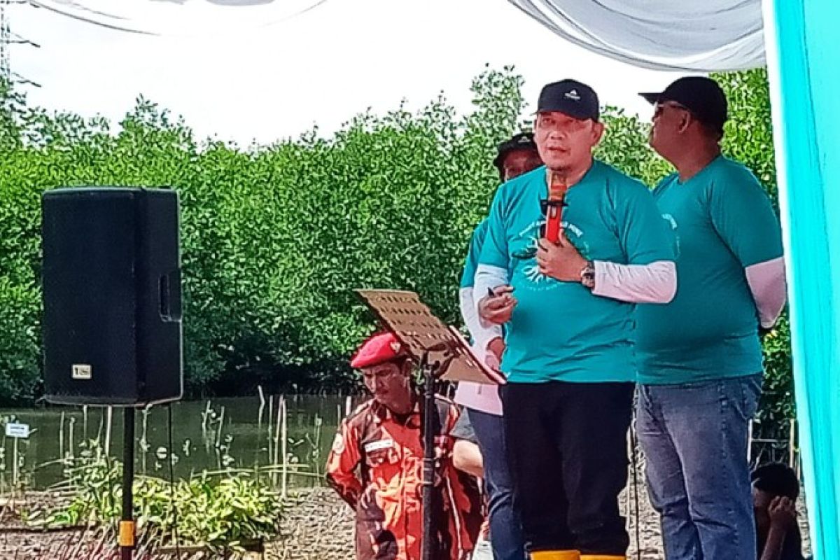 Pj Bupati Tapteng apresiasi PT. AR tanam 30 ribu bibit mangrove di hutan basah Tapteng