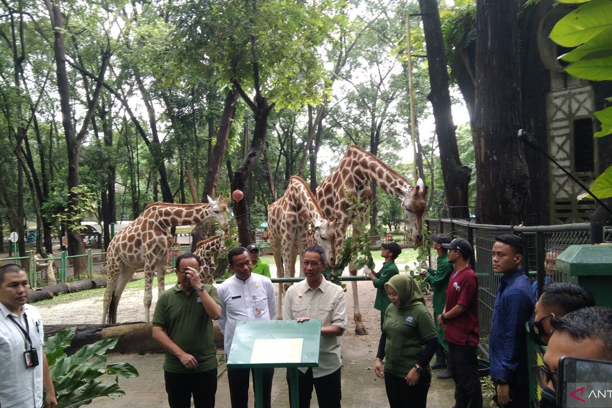 Bakal ada komodo di Taman Margasatwa Ragunan