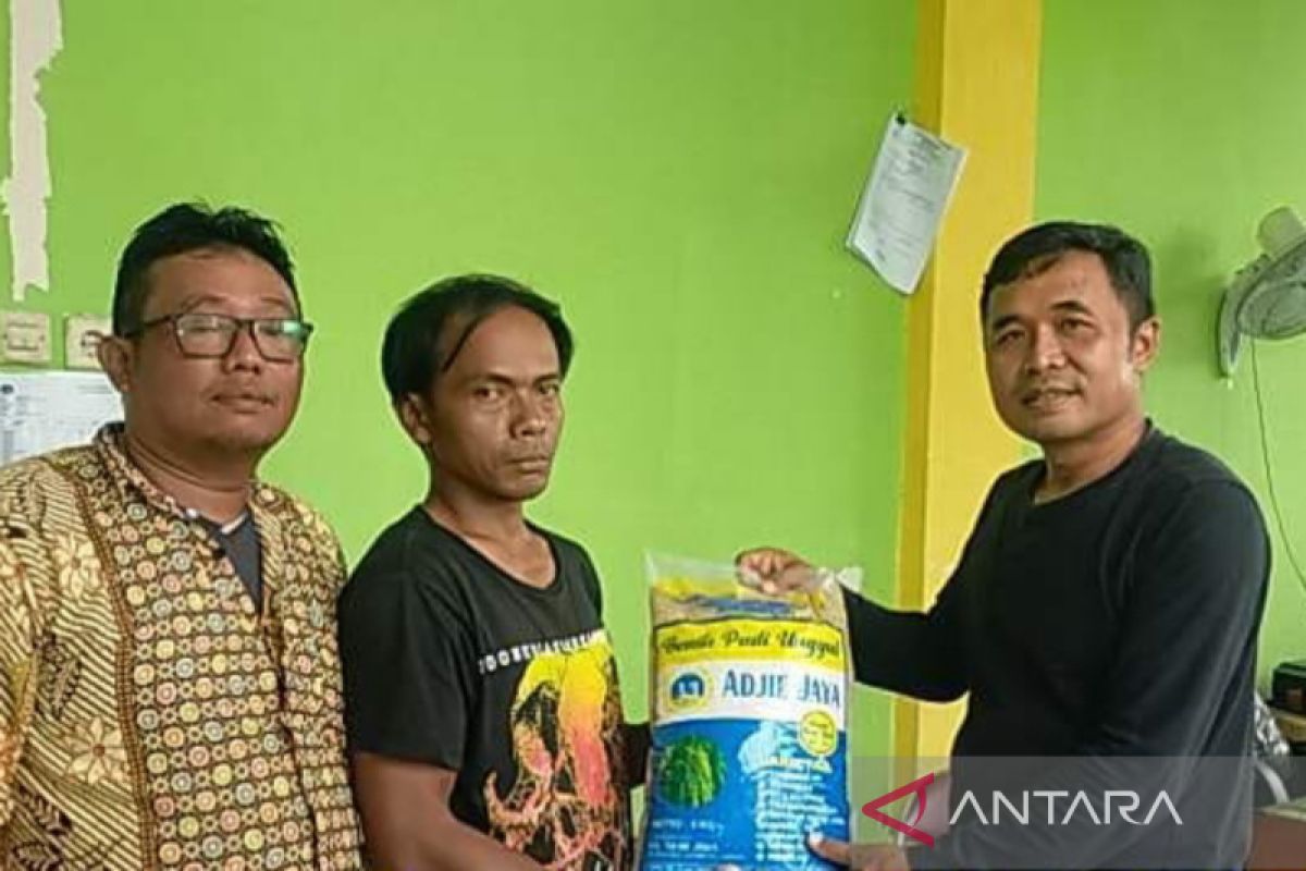 117 kelompok tani di Mukomuko terima bantuan benih padi unggul