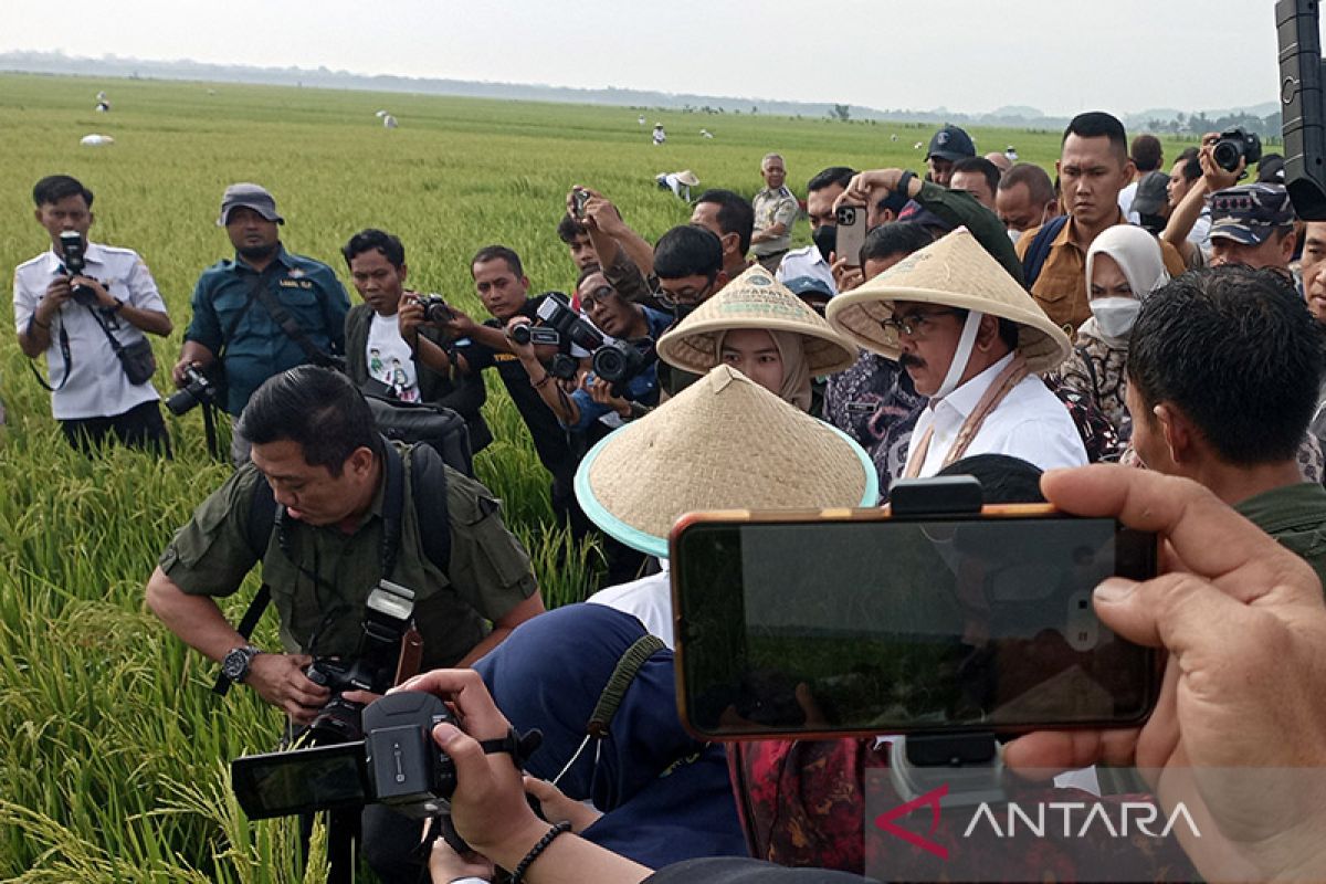 Menteri ATR/BPN ungkap lima jenis oknum mafia tanah