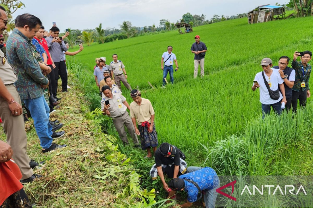 Bupati Bangli: Pemasangan tanda batas tanah pemda perlu segera ditata