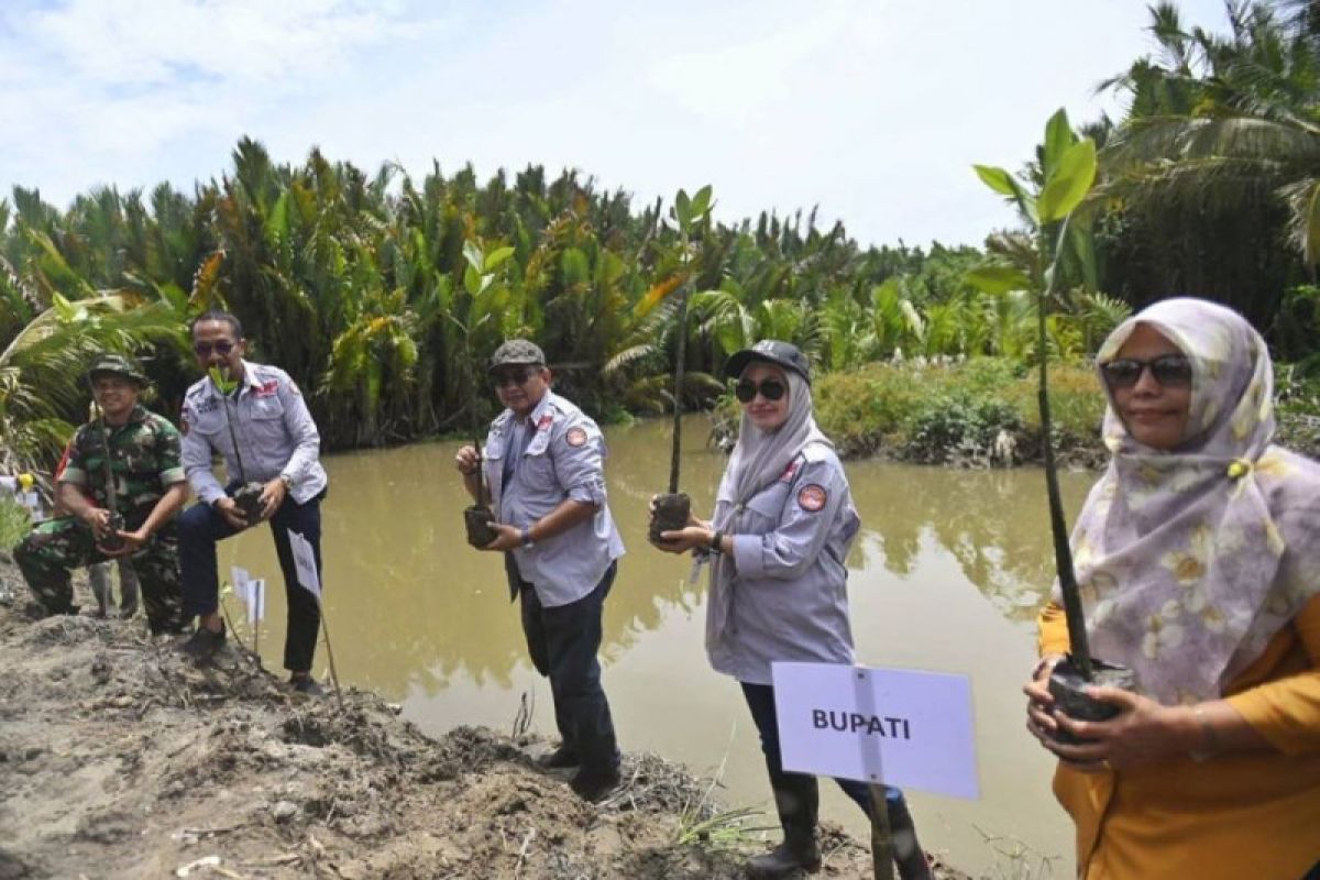 Pemkab Luwu Utara tanam 5.000 mangrove di wilayah pesisir