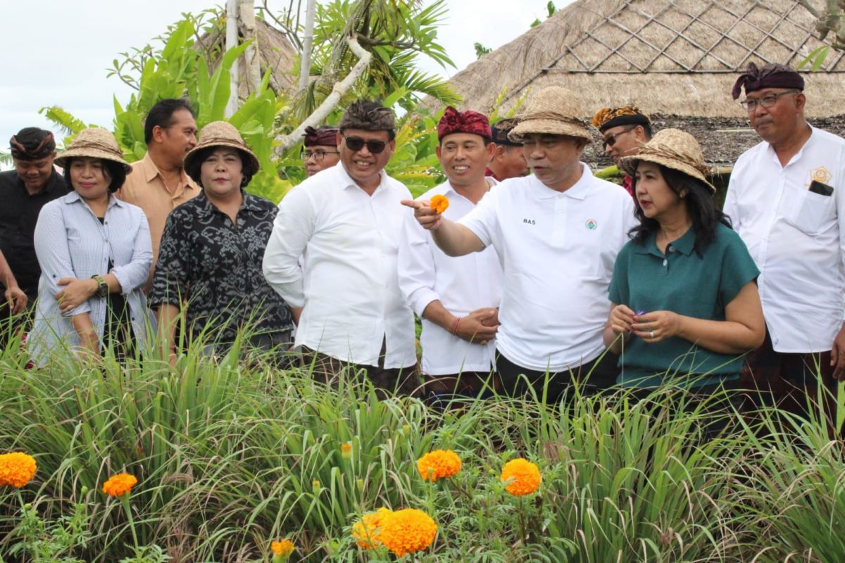 Wamendes PDTT puji inovasi Desa Kertalangu Denpasar