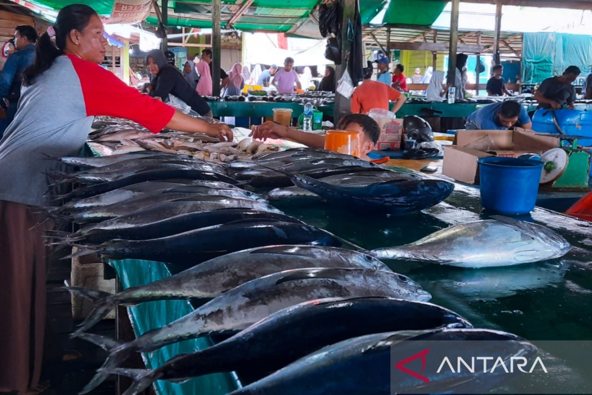 Harga ikan segar di Natuna naik dua kali lipat akibat cuaca ekstrem