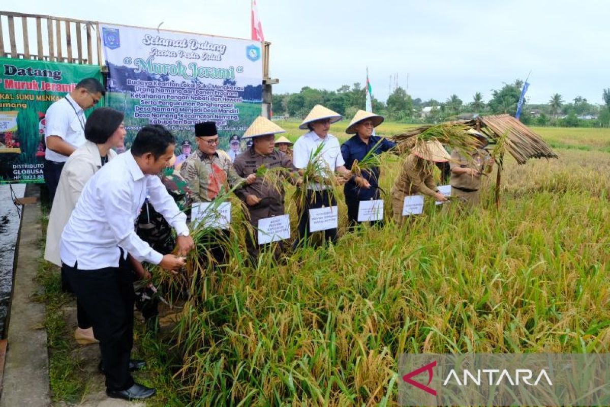 Dorong Kemandirian Desa, PLN Bantu Bibit Padi dan Pemanfaatan FABA untuk Pupuk di Bangka Tengah