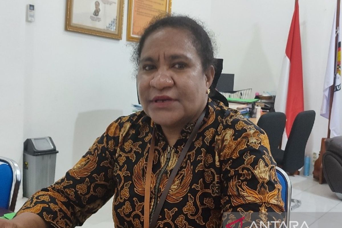 KPU RI tunjuk anggota KPU Papua tangani tiga DOB