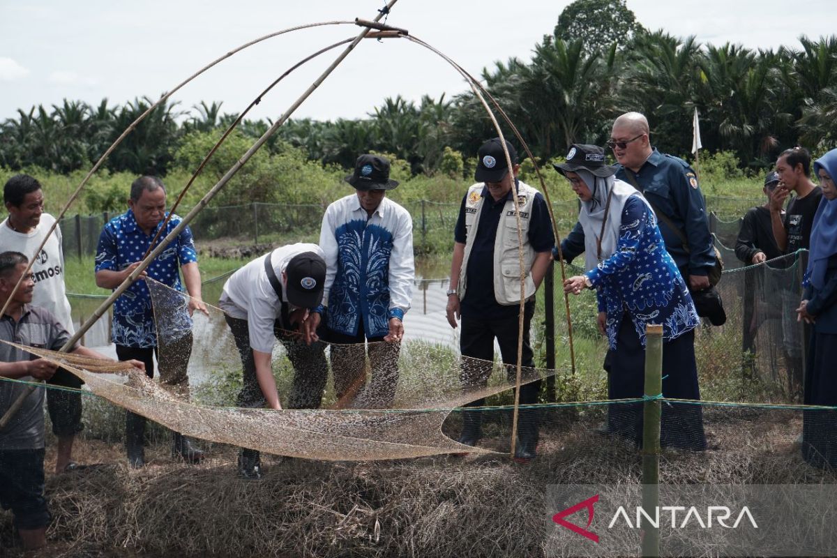 Staf Ahli Menteri KKP kunjungi HST yang kembangkan budidaya ikan gabus