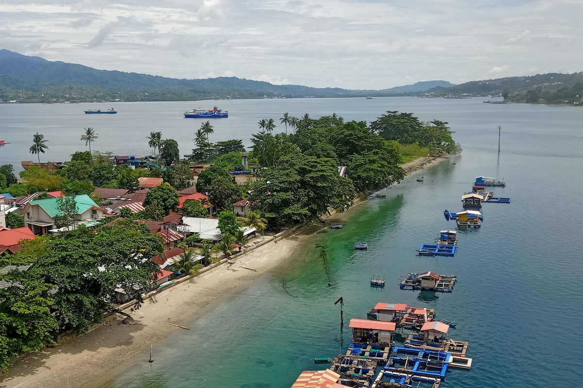 Mangrove Teluk Ambon berkurang 10 hektare dalam dua dekade terakhir, begini penyebabnya