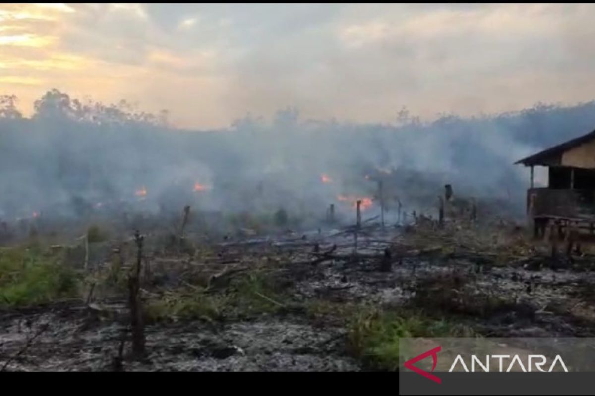 Polisi menangkap warga yang bakar lahan perkebunan di Sumsel