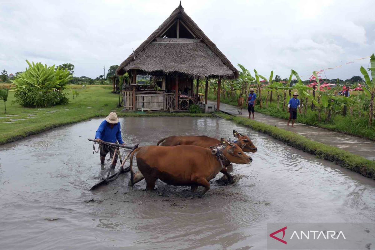 Desa Budaya Kertalangu di Denpasar raih penghargaan dari Kemendes PDTT