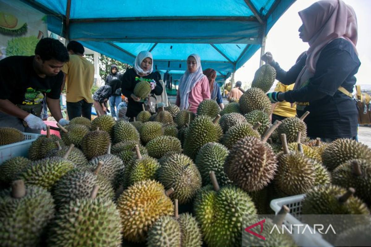 Ada Festival Durian di Bendungan Gondang Karanganyar