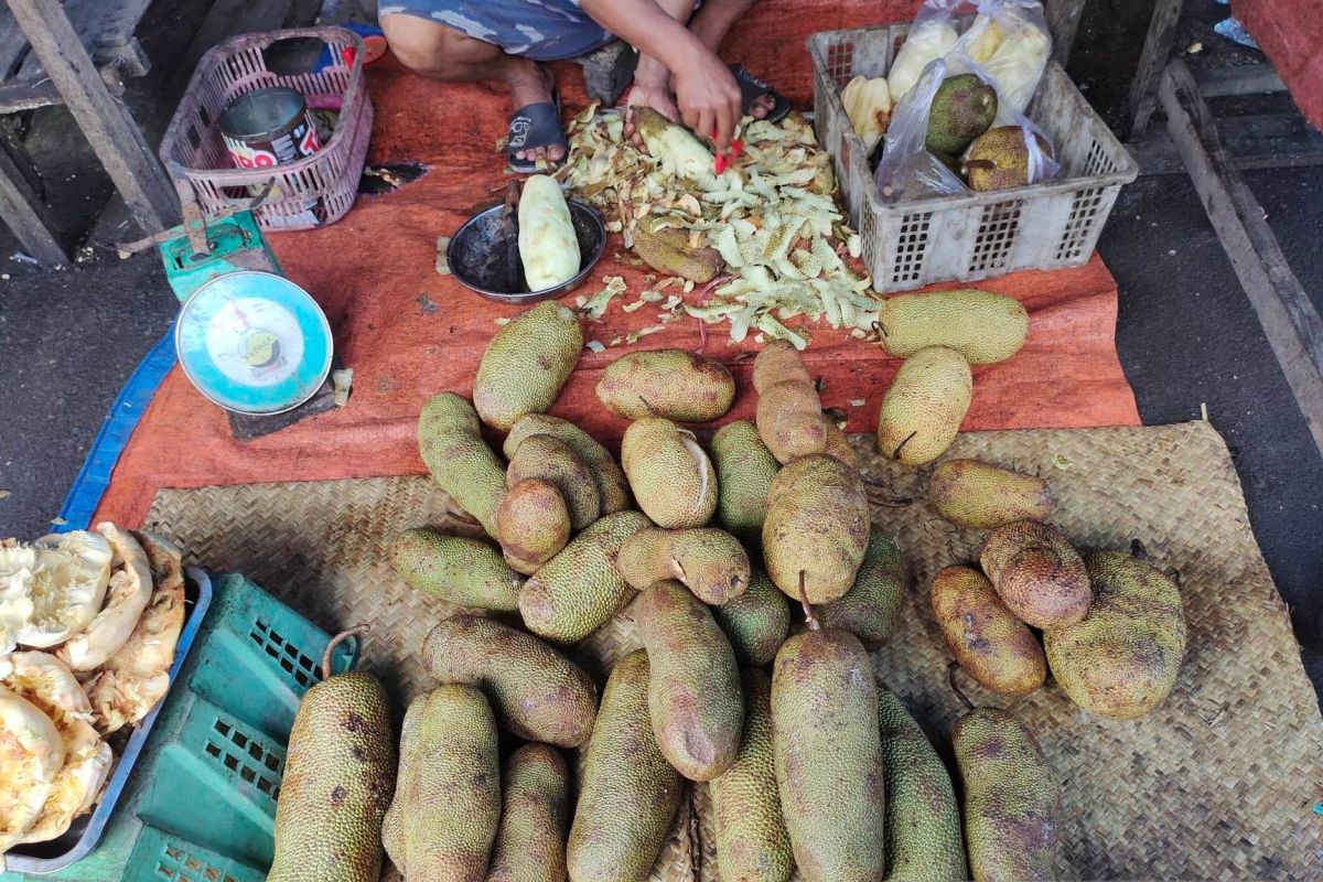 Cempedak asal Kalimantan Barat dominasi penjualan di Banjarmasin