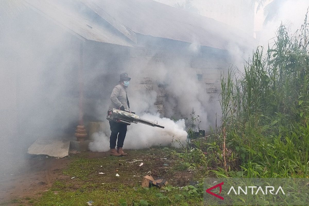 Berikut perkembangan kasus DBD di Seruyan