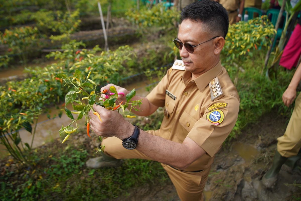 Edi Kamtono harap inspirasi warga gemar menanam cabai