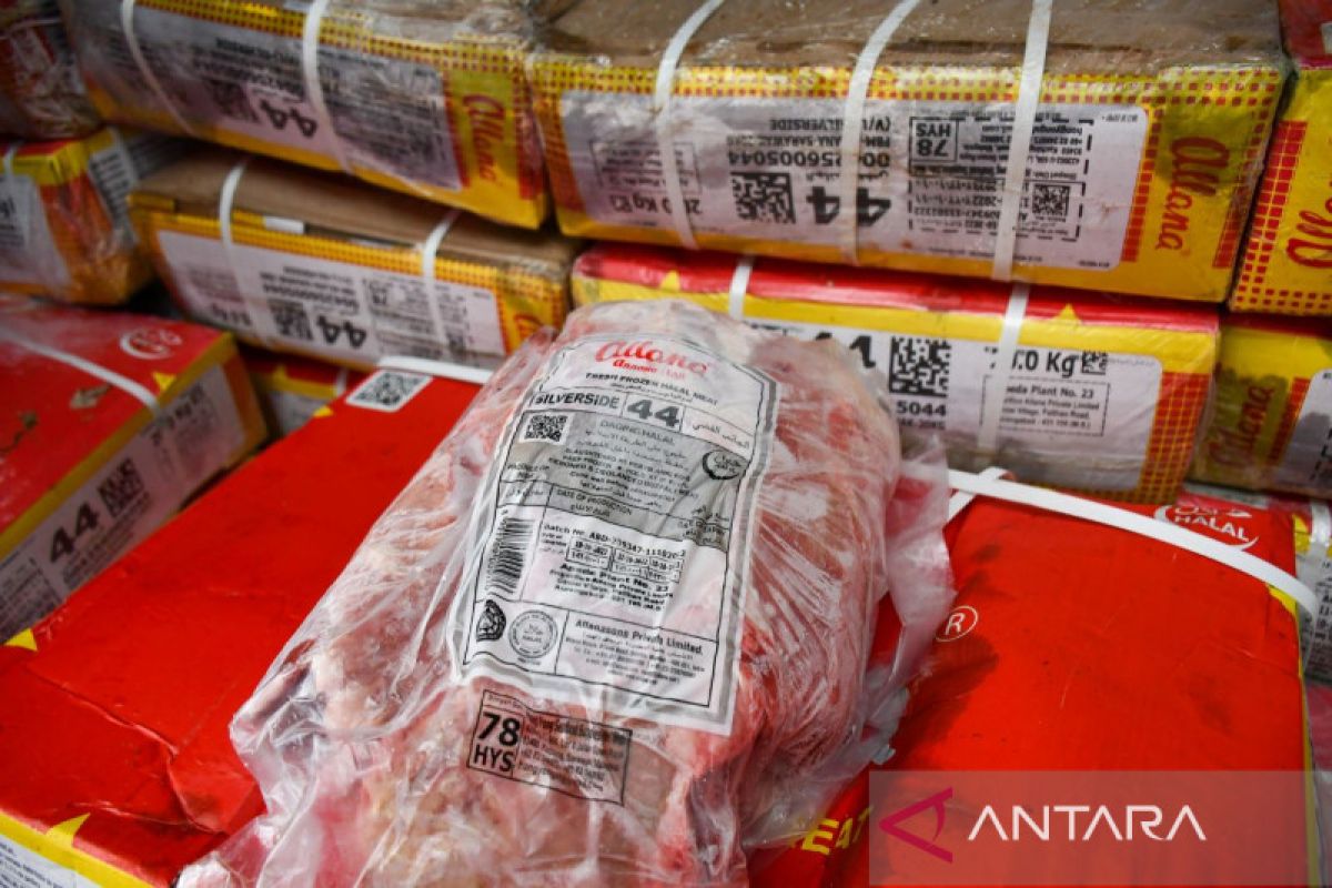 Impor sebanyak 28,5 ton daging kerbau ilegal