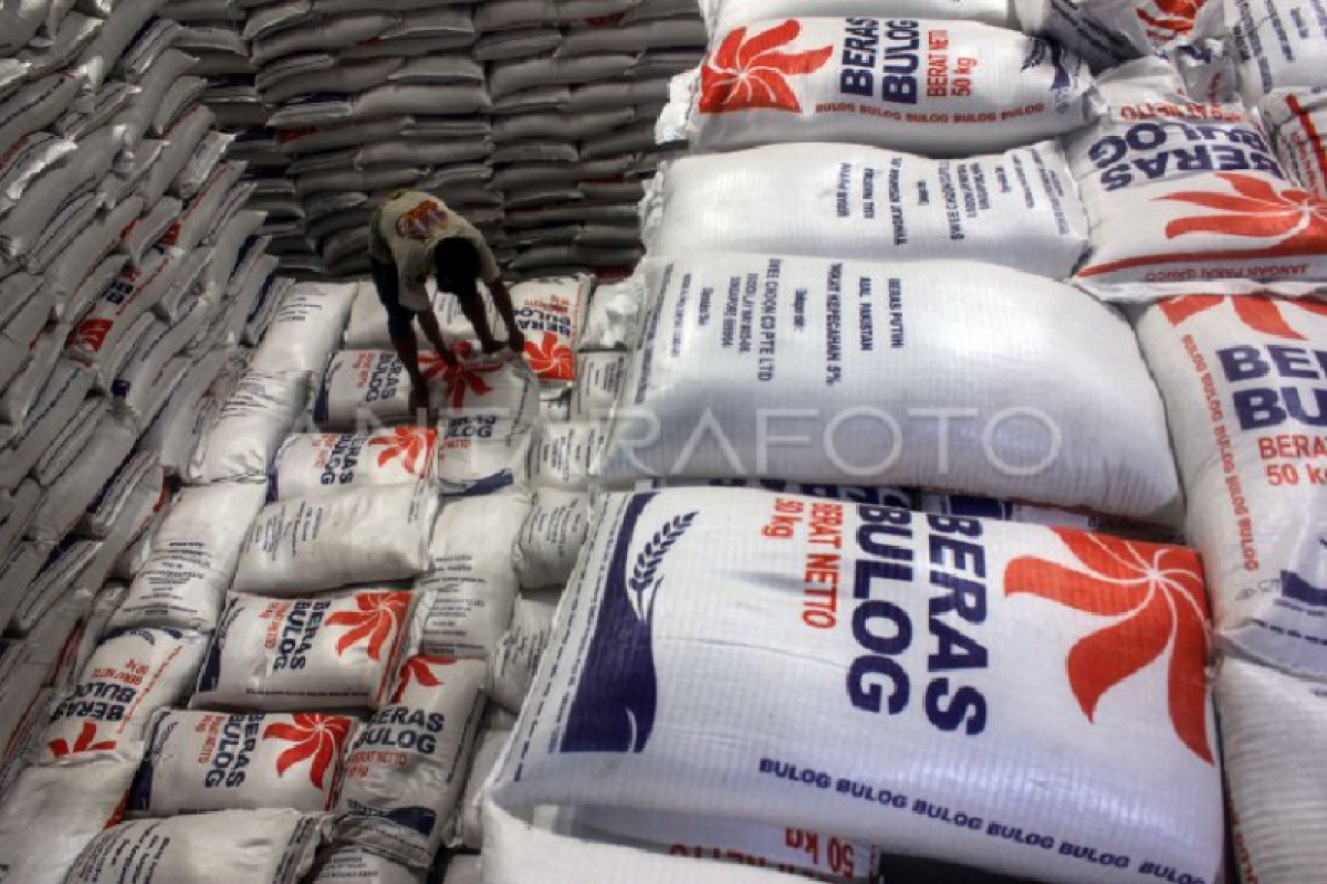 Bulog secures 1.6 mln tons of rice for government reserves