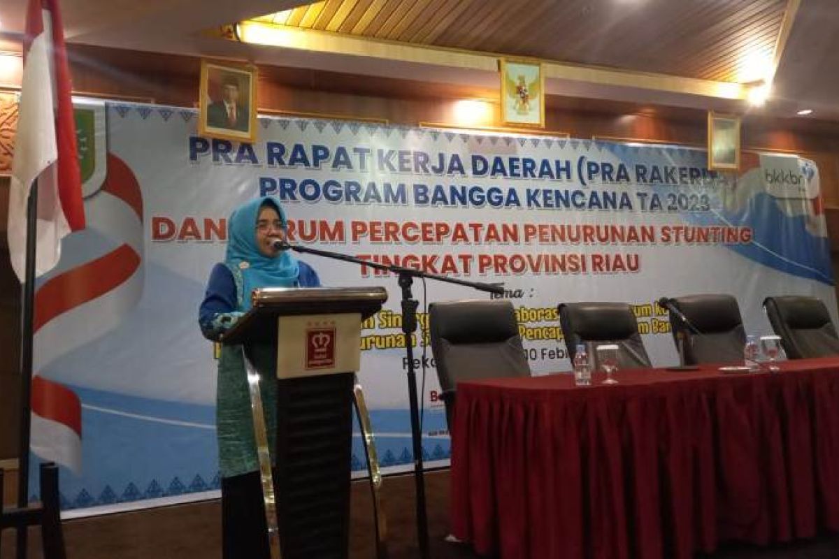 BKKBN Perwakilan Riau perkuat 10.674 TPK percepat penurunan prevalensi tengkes