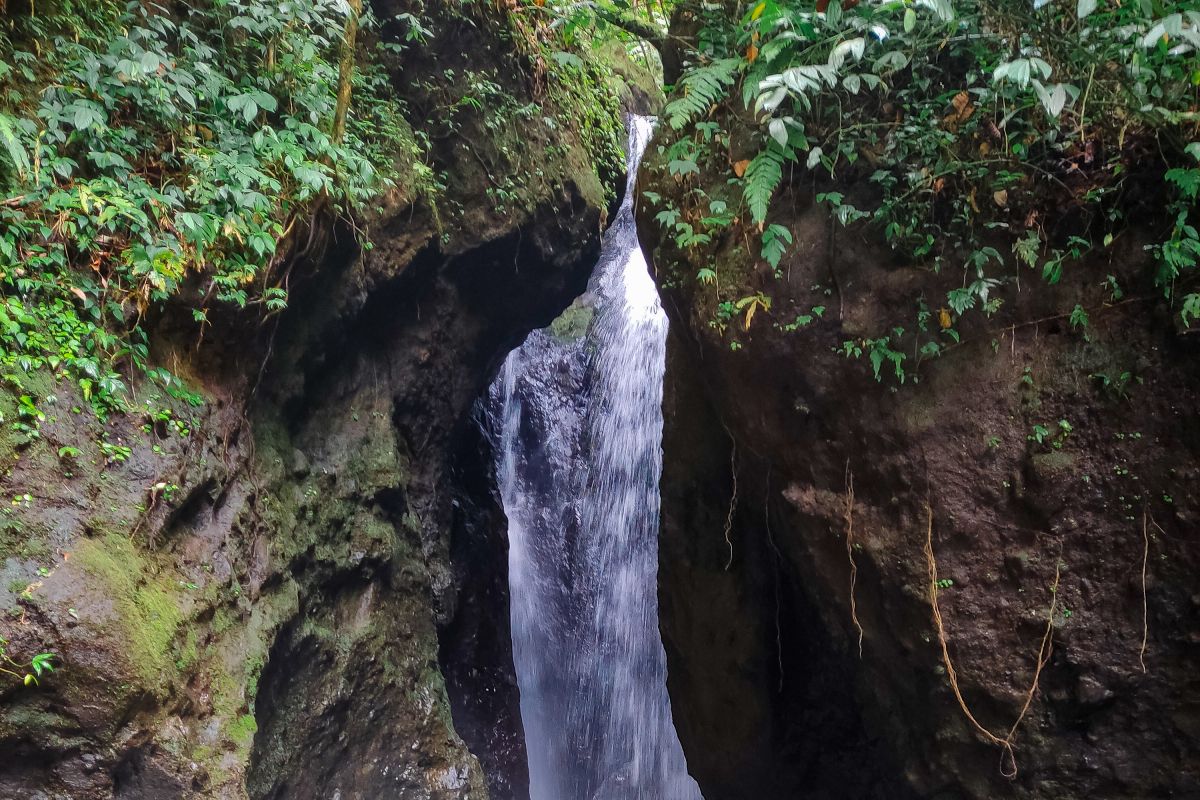 Air terjun Way Campang, wisata alam tersembunyi di Pesisir Barat