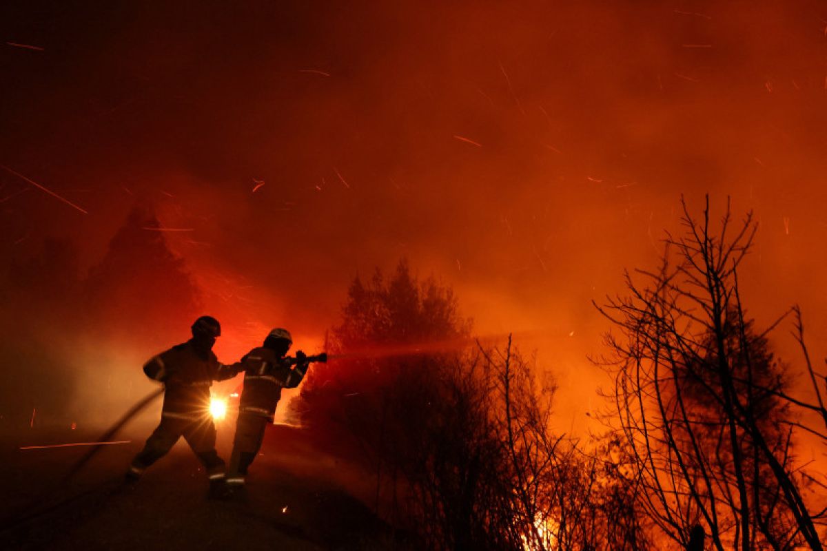Gelombang panas Chile bisa perburuk kebakaran hutan
