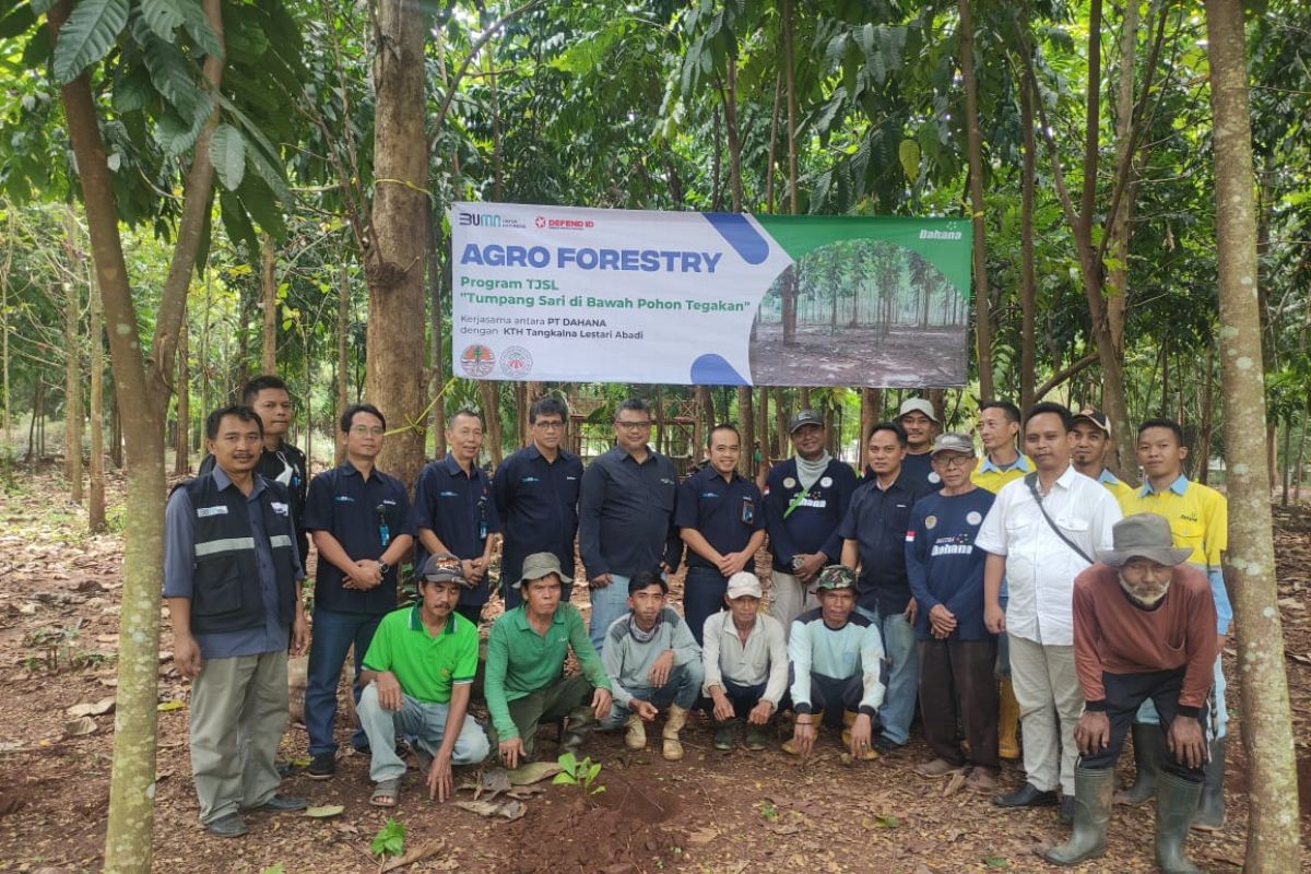 Jalankan agroforestry, Dahana tanam kopi di lahan perusahaan