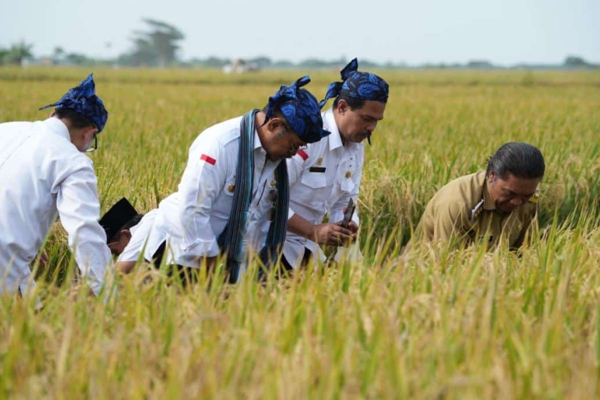 Mentan pastikan ketersediaa bahan pangan aman jelang Ramadhan