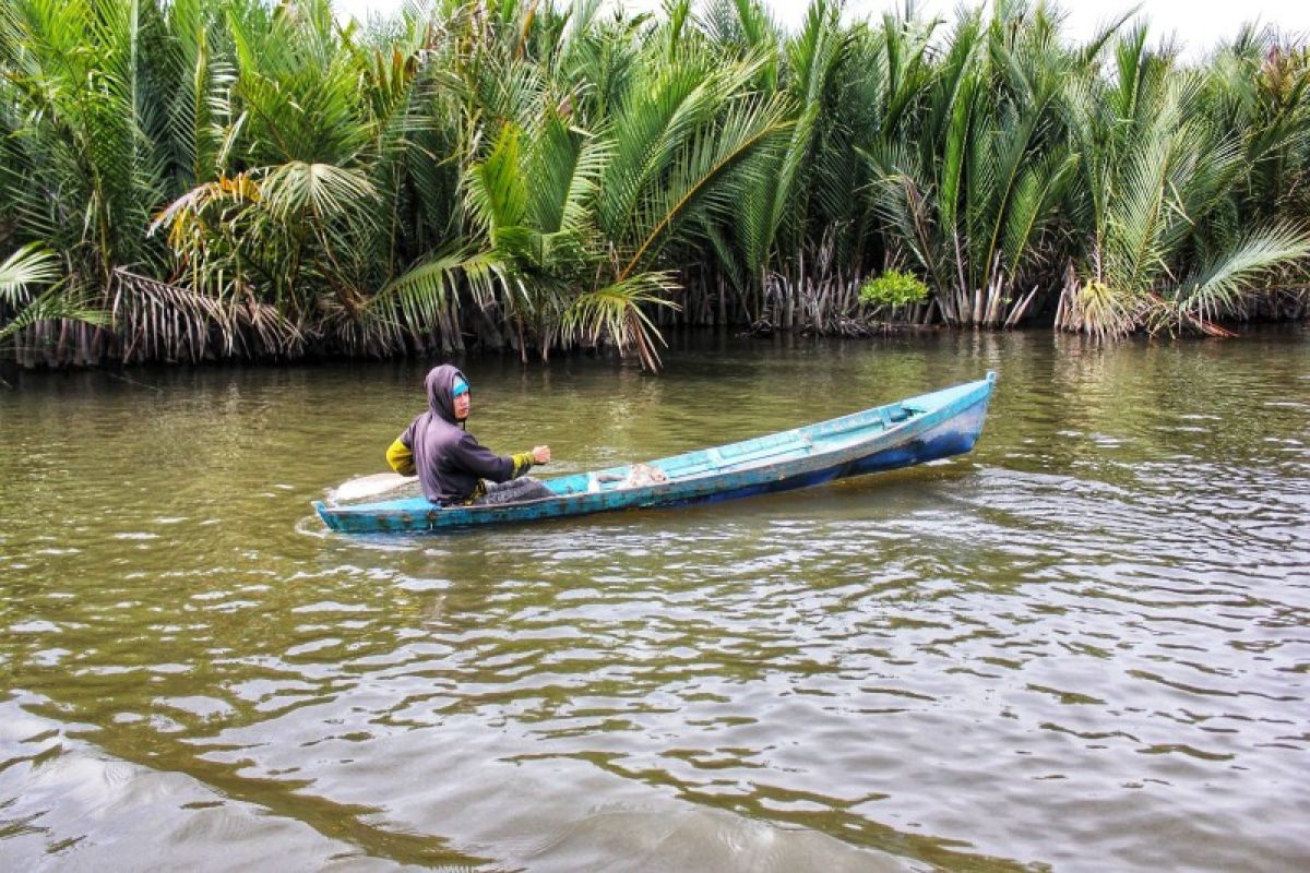 Nelayan tradisional di hutan mangrove Tapteng ucapkan terimakasih kepada PTAR Tambang Emas Martabe.