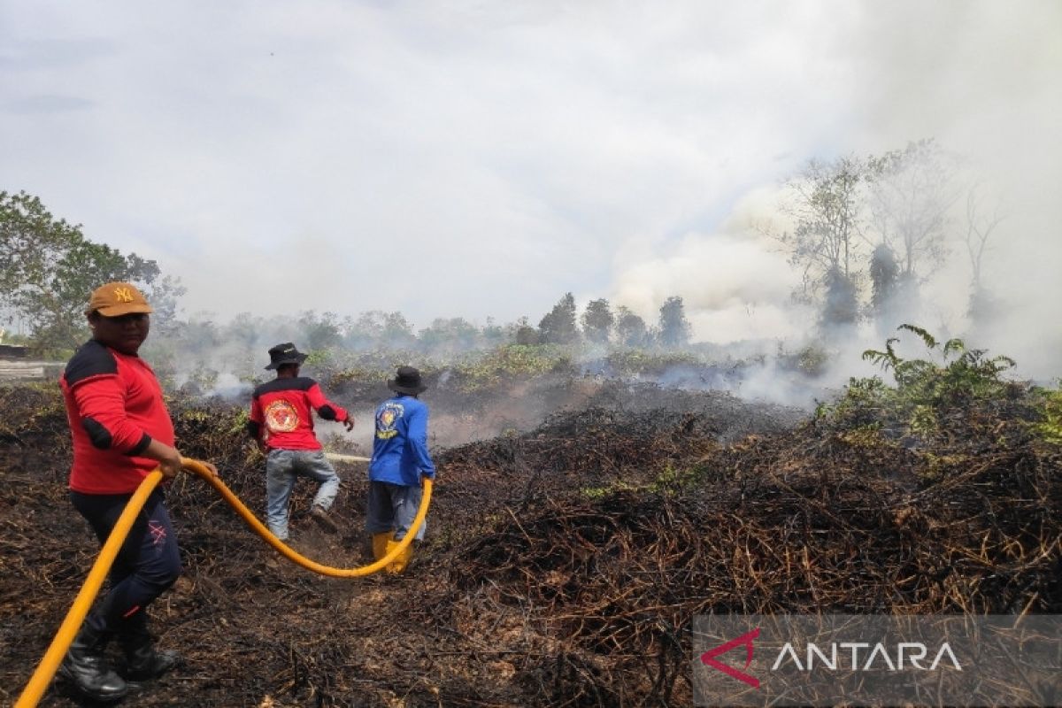 51 hektare lebih lahan terbakar di Kobar selama Januari