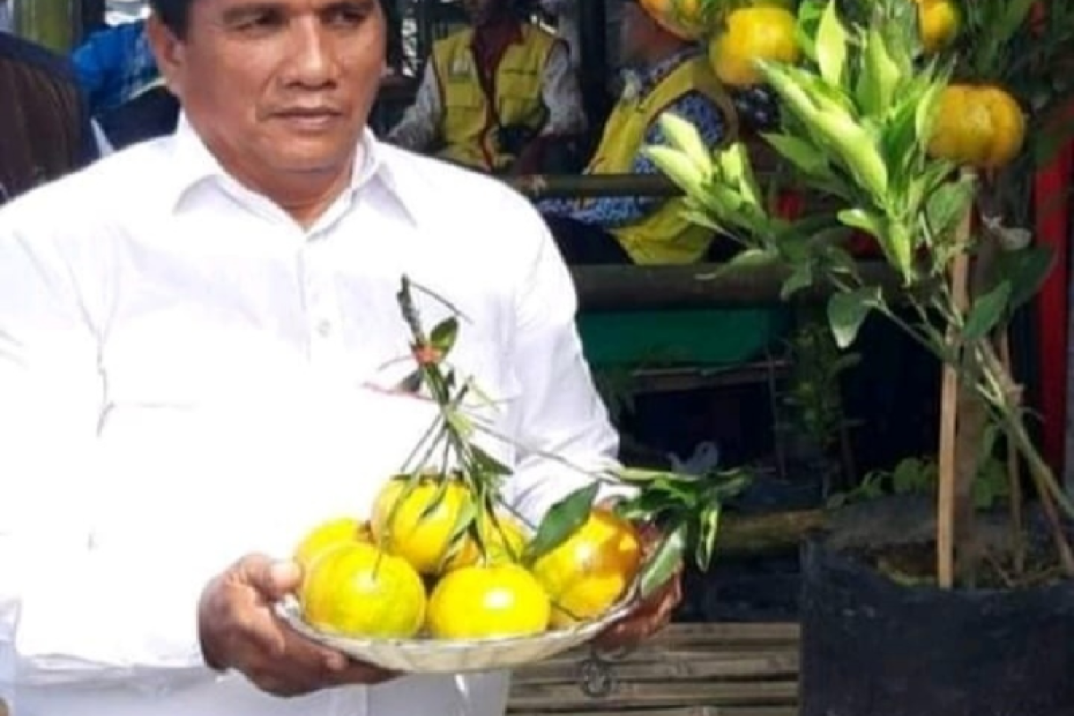 Pemkab Aceh Besar gencarkan ketahanan pangan dari rumah dan sekolah