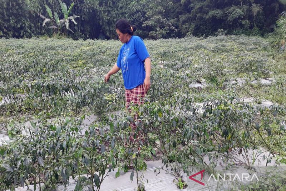 Gunung Merapi erupsi, tiga desa di Boyolali terkena hujan abu