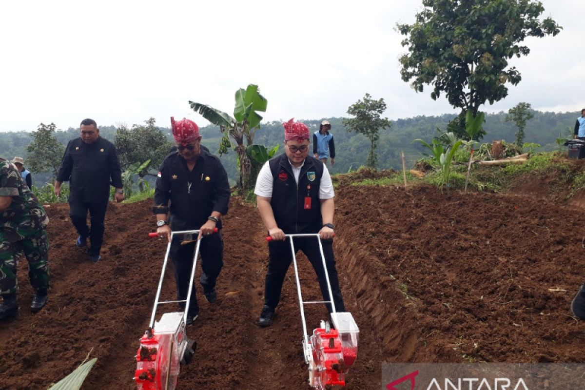 Kementan: Pengembangan kelapa genjah perkuat perekonomian nasional