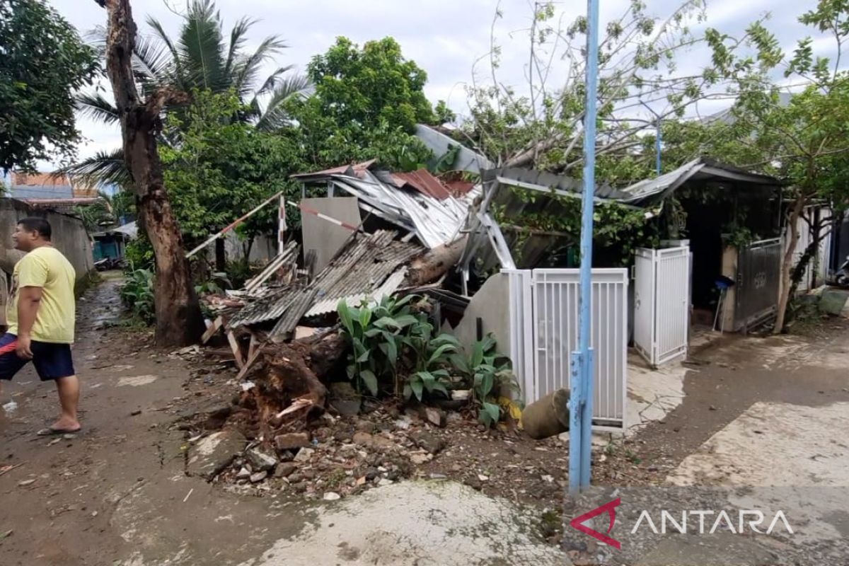 Lima rumah di Bekasi rusak tertimpa pohon akibat angin kencang