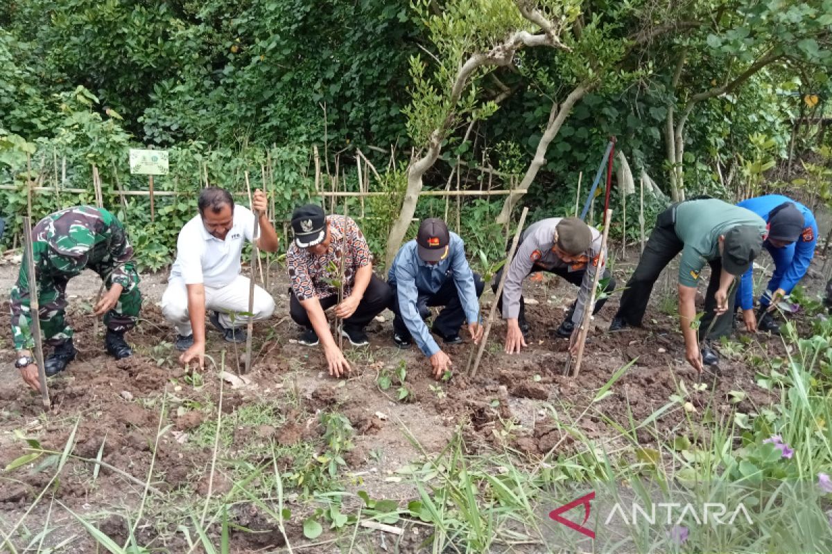 Wabup: Penanaman mangrove dukung penyelamatan lingkungan