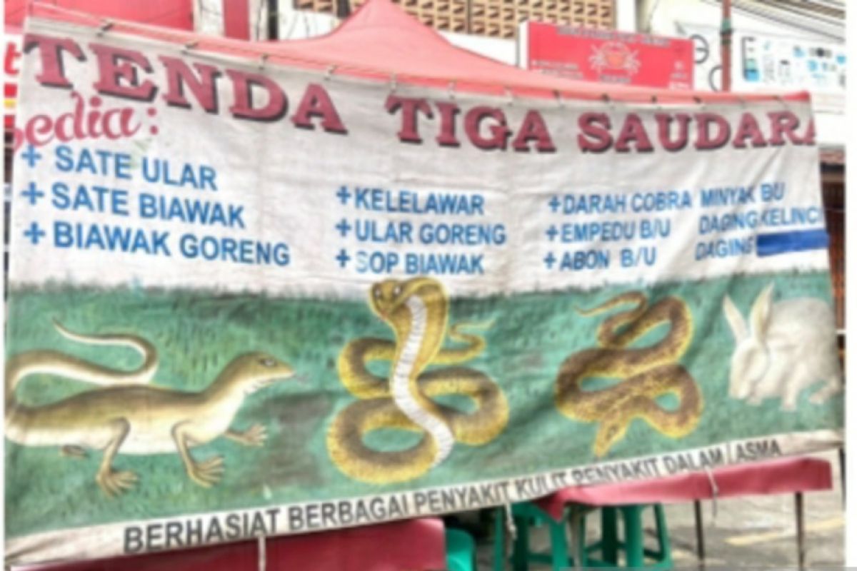 Sate Biawak dan Ular Laris Manis di Tangerang