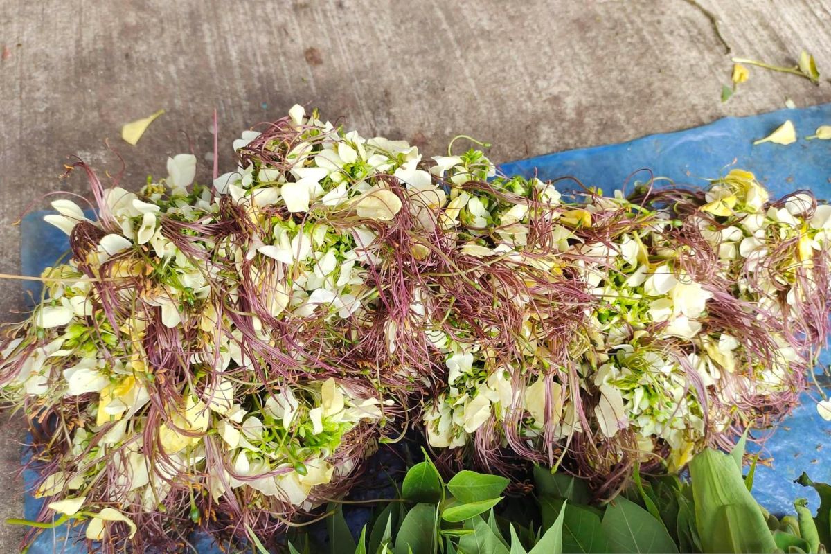 Kembang Tigarun, satu jenis sayuran unik dijual di Kota Banjarmasin