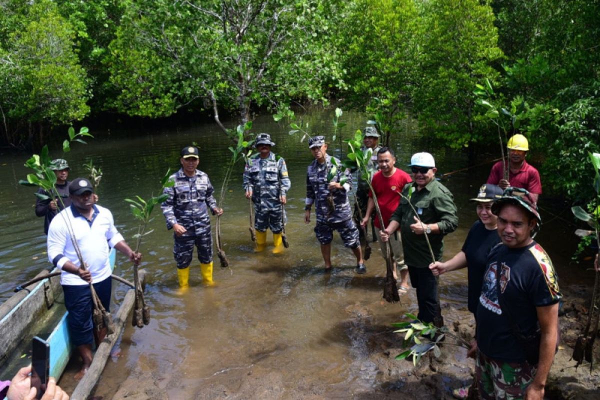 Lantamal VIII tanam mangrove di Desa Palaes Minahasa Utara