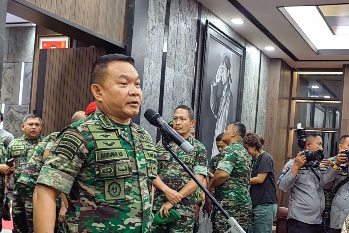 Pasukan TNI AD berangkat ke Papua tangani aksi teror KKB