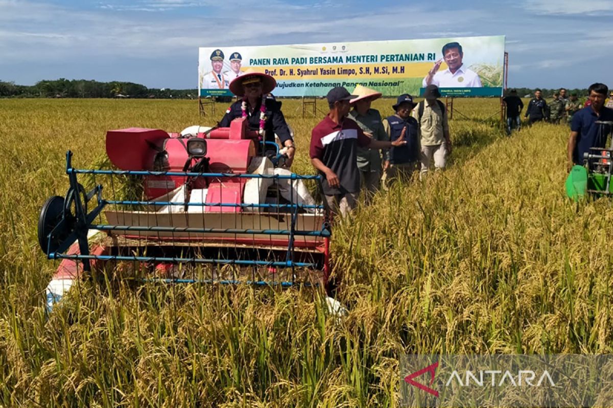Menteri Pertanian apresiasi peningkatan produksi padi di Seluma
