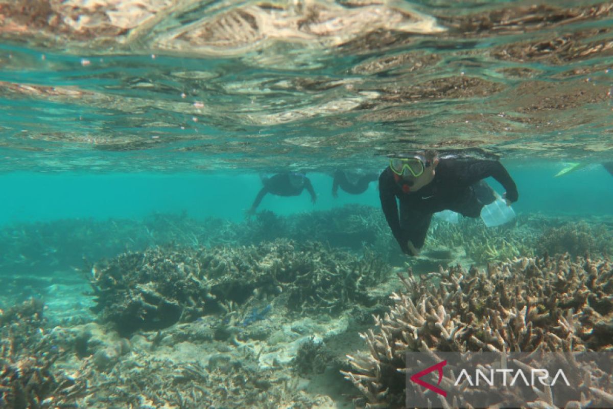 Abrasi pantai di Natuna diakibatkan kerusakan terumbu karang