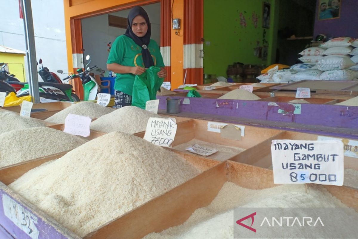 Stok beras di Tanah Bumbu cukup hingga memasuki Ramadhan